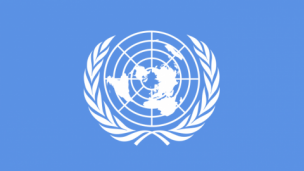 模拟联合国