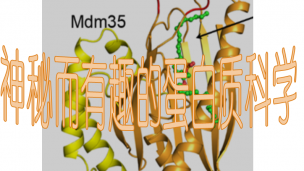 普陀线下课程——神秘而有趣的蛋白质科学