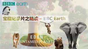宝藏纪录片之精读——BBC  Earth